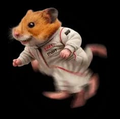 Running Hamster
